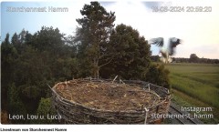 bandicam 2024-08-18 21-11-51-784.jpg