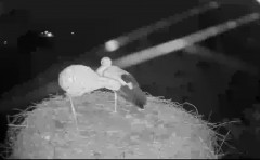 bandicam 2024-08-18 22-05-36-026.jpg