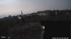 2024-08-19 21_06_00-Biecz gniazdo bocianów - YouTube – Maxthon.png