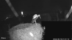 2024-08-19 21_06_18-Biecz gniazdo bocianów - YouTube – Maxthon.png