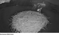 bandicam 2024-08-20 16-32-21-400.jpg