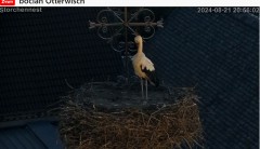 bandicam 2024-08-21 22-13-01-347.jpg