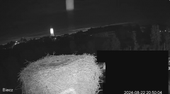 2024-08-22 21_18_13-Biecz gniazdo bocianów - YouTube – Maxthon.png