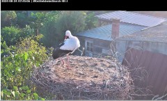 bandicam 2024-08-24 07-45-38-362.jpg