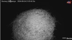 MWSnap 2024-08-24, 21_05_37.jpg