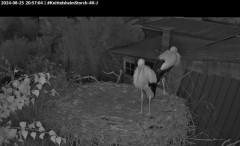 bandicam 2024-08-25 20-57-35-901.jpg