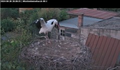 bandicam 2024-08-28 20-38-56-027.jpg