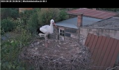 bandicam 2024-08-28 20-39-00-389.jpg