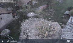bandicam 2024-08-28 20-39-29-984.jpg