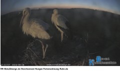 bandicam 2024-08-28 22-56-17-504.jpg