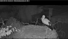 bandicam 2024-09-01 21-03-02-634.jpg