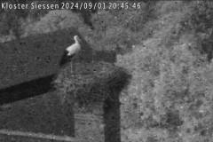 bandicam 2024-09-01 20-45-47-092.jpg