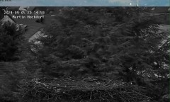 bandicam 2024-09-05 20-15-55-251.jpg