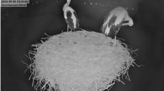 bandicam 2024-09-05 20-14-03-621.jpg