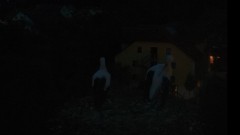 bandicam 2024-09-08 20-04-20-950.jpg