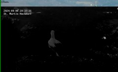 bandicam 2024-09-08 20-38-13-533.jpg