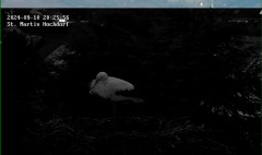 bandicam 2024-09-10 20-26-36-727.jpg