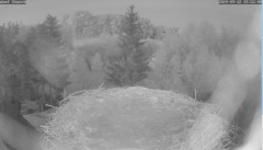 bandicam 2024-09-12 19-52-49-970.jpg