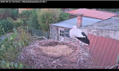 bandicam 2024-09-12 19-34-46-740.jpg