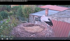 bandicam 2024-09-12 19-34-40-449.jpg