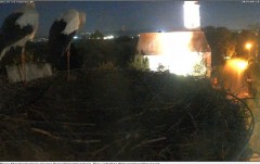 bandicam 2024-09-18 21-00-59-094.jpg