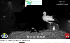 bandicam 2024-09-25 20-32-44-723.jpg