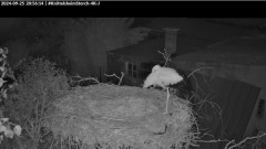 bandicam 2024-09-25 20-56-42-741.jpg