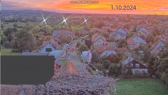bandicam 2024-10-01 19-21-12-949.jpg