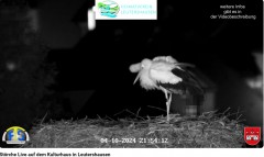 bandicam 2024-10-04 21-54-35-246.jpg
