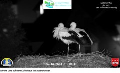 bandicam 2024-10-06 21-19-11-569.jpg