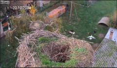 bandicam 2024-10-20 17-28-11-534.jpg