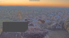 bandicam 2024-11-04 17-22-44-717.jpg