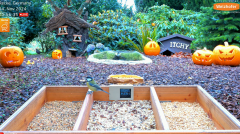 2024-11-04 12_26_17-LIVE 4K 60fps Bird Feeder Cam - Hedgehog & Bird Watching (3D Audio) ASMR HQ - Yo.png