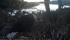2024-11-08 18_24_20-Big Bear Bald Eagle Live Nest - Cam 1 - YouTube – Maxthon.png