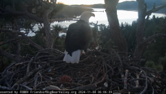 2024-11-08 18_25_03-Big Bear Bald Eagle Live Nest - Cam 1 - YouTube – Maxthon.png