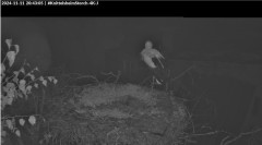 bandicam 2024-11-11 20-43-35-425.jpg