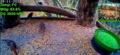 20241112_193511.jpg