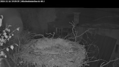 bandicam 2024-11-16 19-40-07-783.jpg
