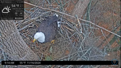 2024-11-16 23_24_31-Port Tobacco Eagle Cam - YouTube – Maxthon.png