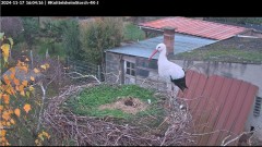 bandicam 2024-11-17 16-04-45-087.jpg