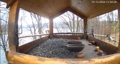 20241119_210711.jpg