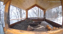 20241123_114855.jpg