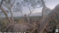 2024-11-27 21_24_13-NEFL Cam 4 - YouTube – Maxthon.png