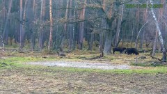 20241128_211126.jpg