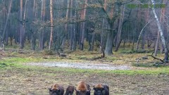 20241128_212518.jpg