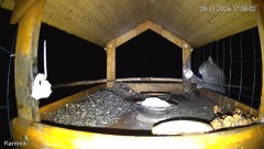 20241128_215329.jpg