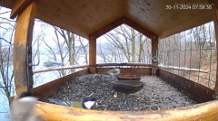 20241130_195051.jpg