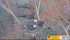 2024-11-30 21_55_12-Bluff City Cam 1_ ETSU_BTES Eagle Camera - YouTube – Maxthon.png
