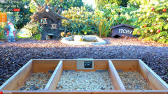 2024-12-01 21_00_48-LIVE 4K 60fps Bird Feeder Cam - Hedgehog & Bird Watching (3D Audio) ASMR HQ - Yo.png