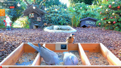 2024-12-01 21_01_47-LIVE 4K 60fps Bird Feeder Cam - Hedgehog & Bird Watching (3D Audio) ASMR HQ - Yo.png